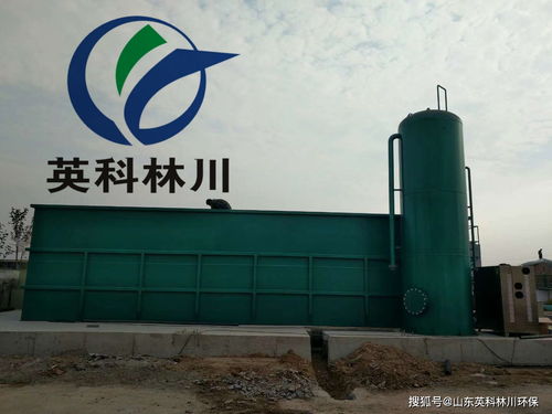 山楂制品加工污水处理与供热设备综合解决方案探讨